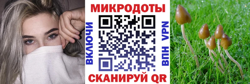 Галлюциногенные грибы прущие грибы  магазин  наркотиков  Бердск 